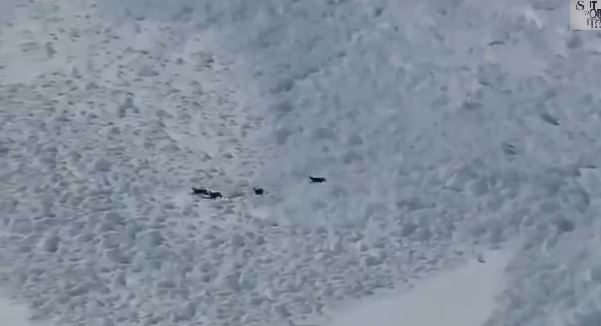 ΒΙΝΤΕΟ-Πιο γρήγορα από τη χιονοστιβάδα