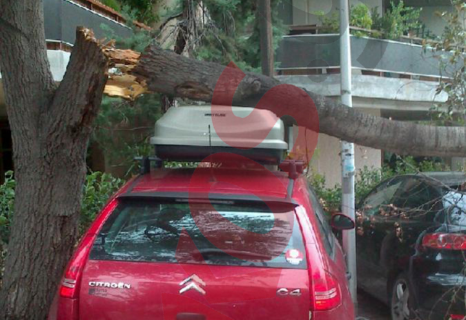 ΤΩΡΑ-ΦΩΤΟ-Κομμένα δέντρα και στο κέντρο του Αμαρουσίου