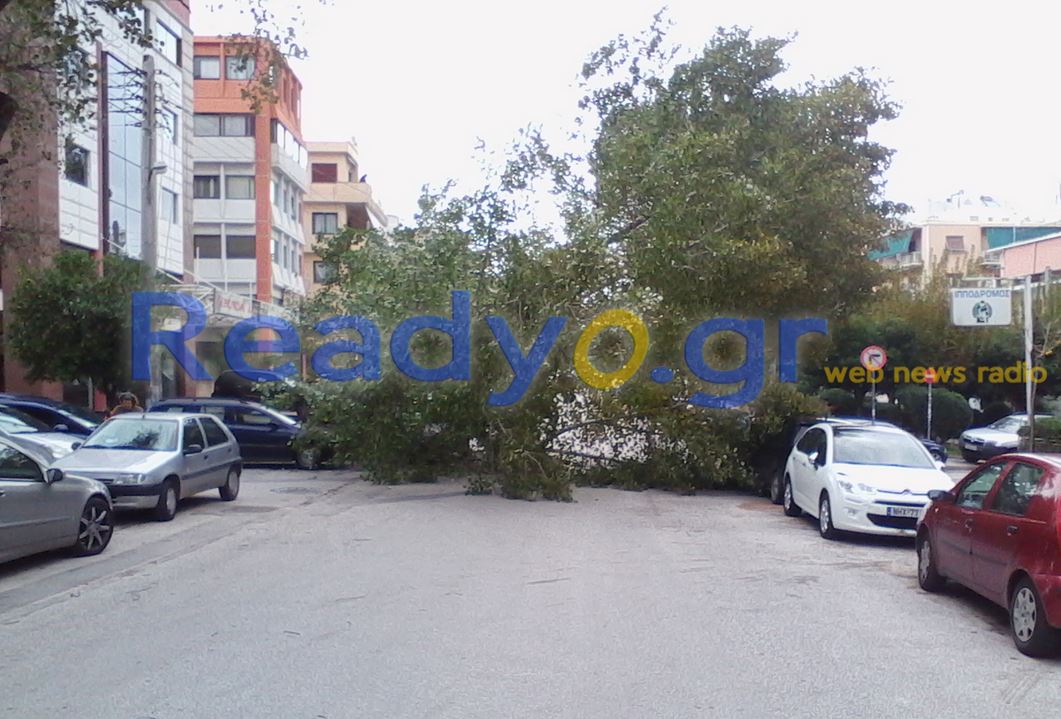 ΤΩΡΑ-ΦΩΤΟ-Πτώση δέντρου στο Ν. Ψυχικό