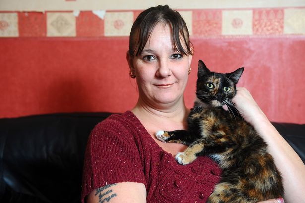 Η γάτα της έσωσε τη ζωή