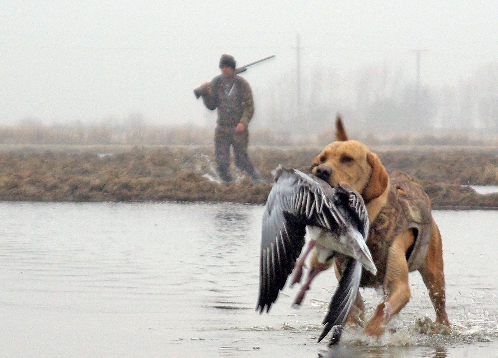 Το χιόνι “παγώνει” το κυνήγι