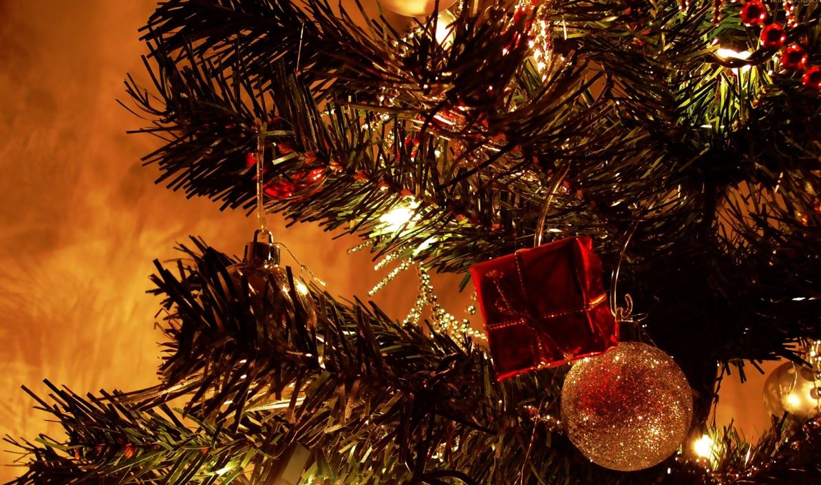 Οι νικητές του διαγωνισμού