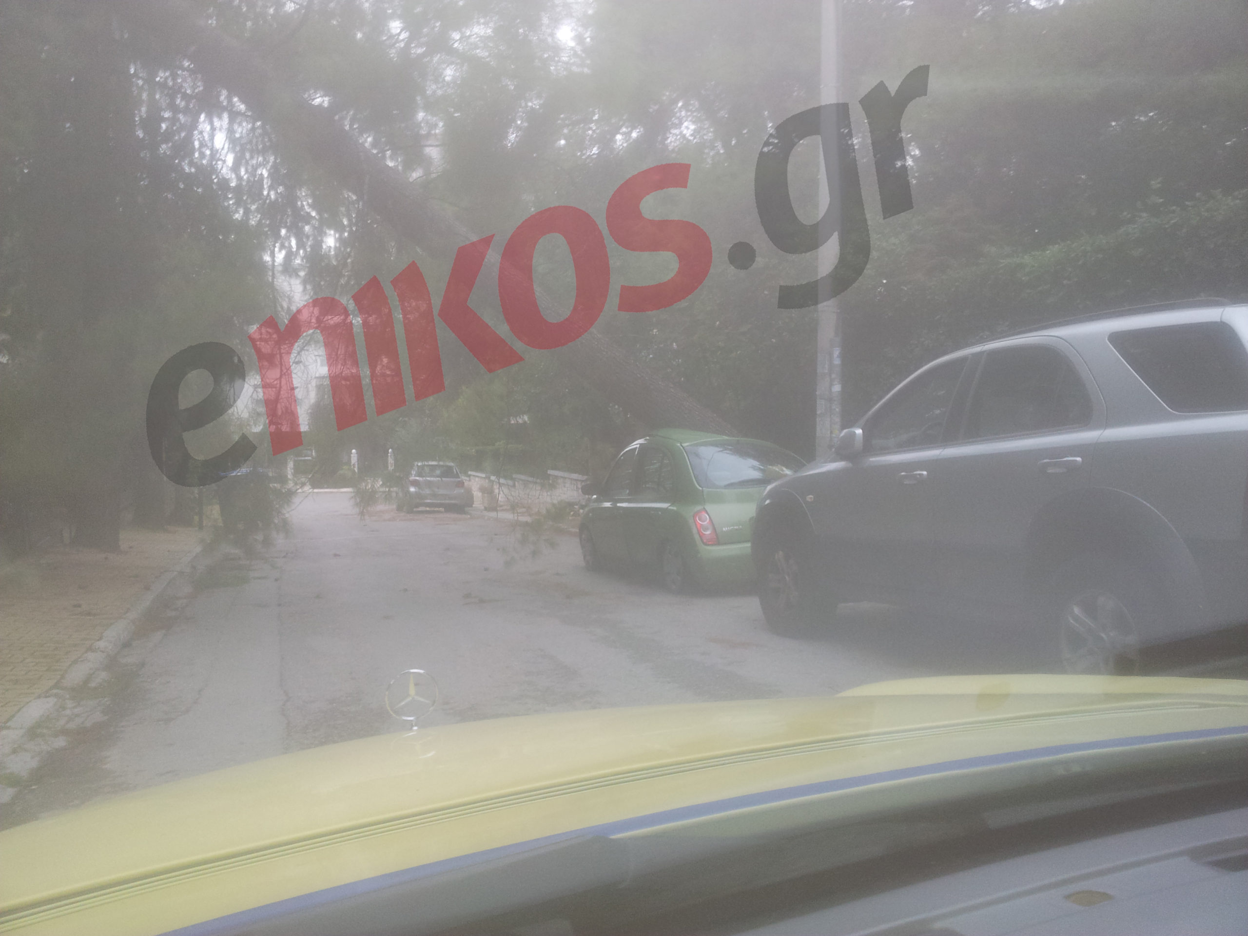 ΦΩΤΟ-Δέντρο έπεσε σε αυτοκίνητο και σπίτι στην Πεύκη