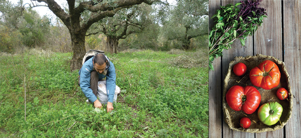 Νεαρός επιστήμονας «επιχειρεί» μαζεύοντας χόρτα