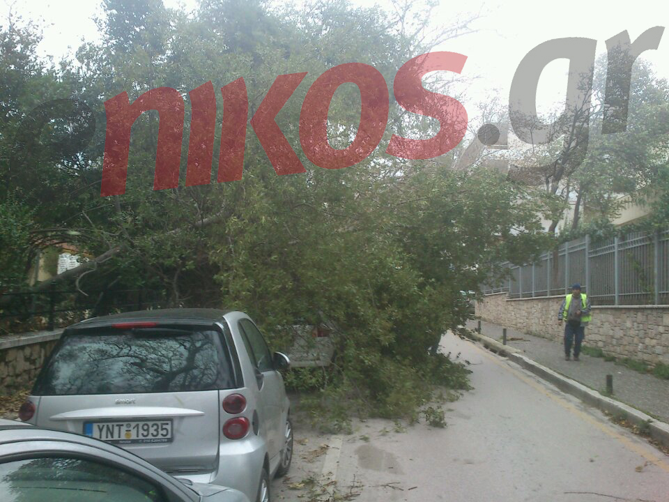 ΤΩΡΑ-ΦΩΤΟ-Έπεσε δέντρο στο πάρκο Κηφισιάς