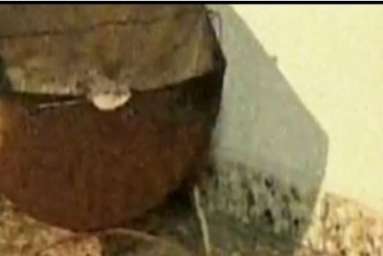 ΦΩΤΟ-Η 13χρονη Σάρα που “έσβησε” από αναθυμιάσεις