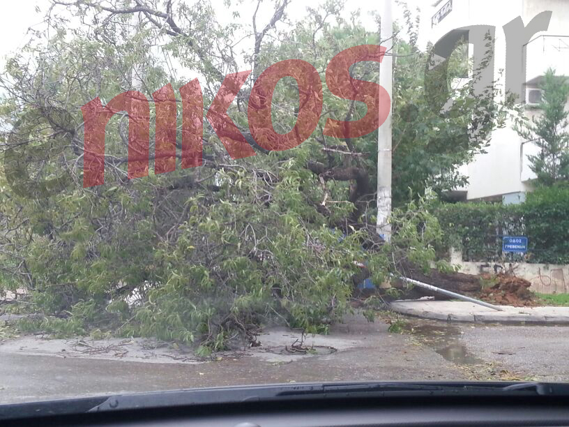 ΤΩΡΑ-ΦΩΤΟ-Πεσμένο δέντρο στο Χαλάνδρι