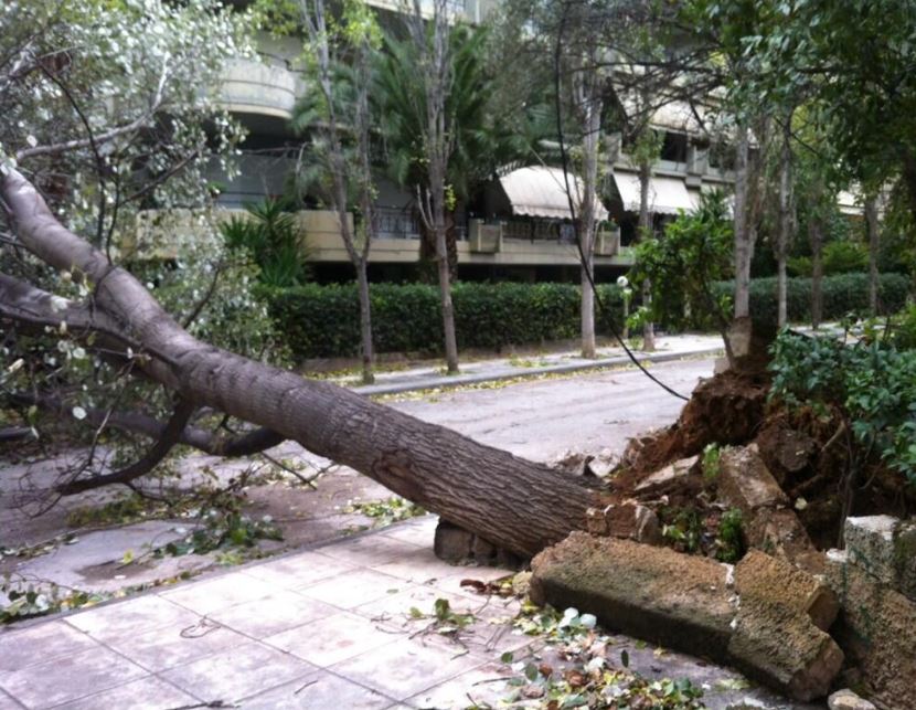 ΤΩΡΑ-ΦΩ��Ο-Έπεσε δέντρο στο Χαλάνδρι
