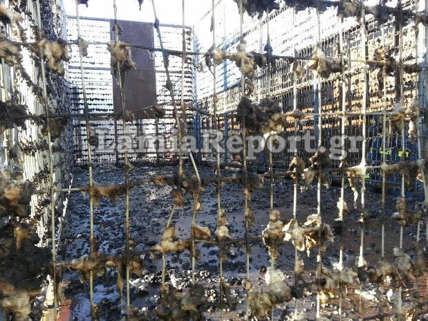 ΦΩΤΟ-Καρότσα με βαμβάκι τυλίχτηκε στις φλόγες