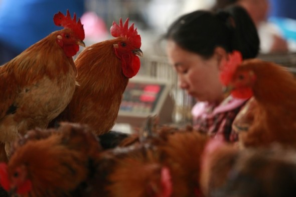 Το πρώτο θύμα παγκοσμίως από τον ιό Η10Ν8