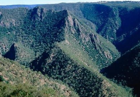 Απίστευτη υπόθεση με 40μελή οικογένεια από αιμομιξίες