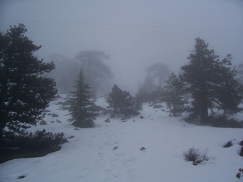 Χιόνια και θυελλώδεις άνεμοι στην Κύπρο