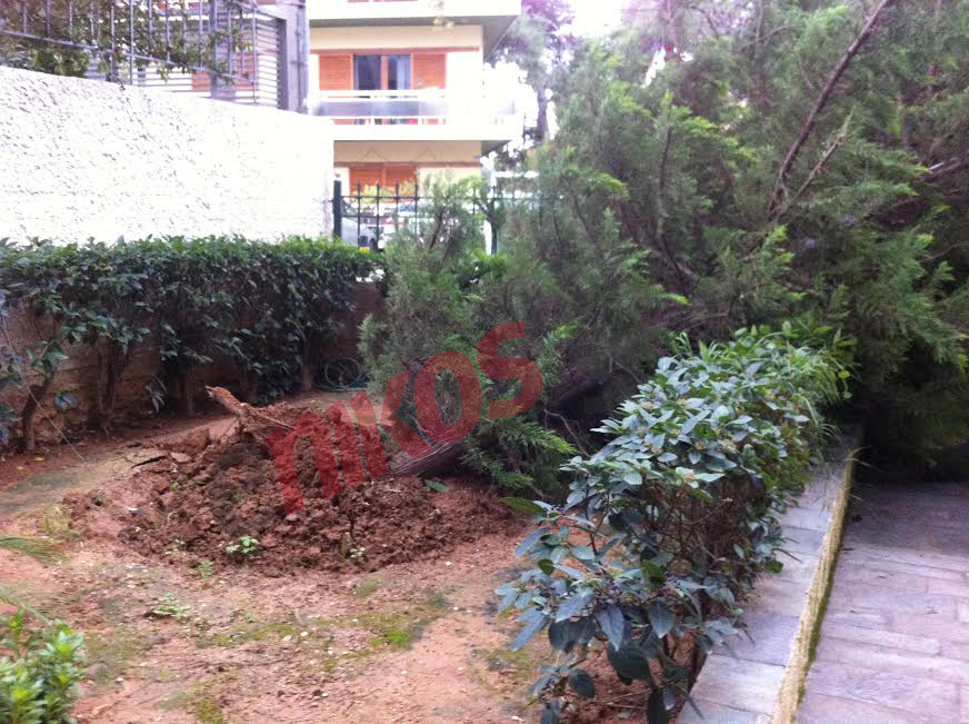 ΦΩΤΟ-Πτώση δέντρου στην Αγία Παρασκευή