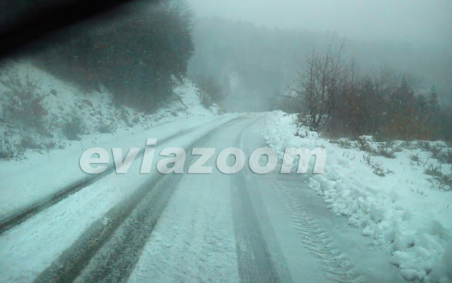 ΦΩΤΟ-Το έστρωσε στα ορεινά της Εύβοιας