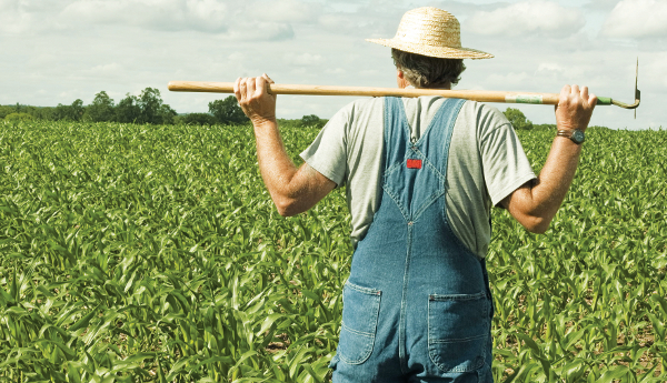Οι αγρότες της Κρήτης στο συλλαλητήριο