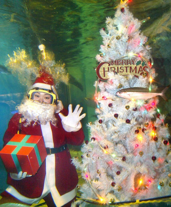 Τα πιο περίεργα χριστουγεννιάτικα δέντρα!