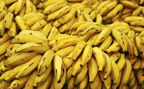 Ακατάλληλες μπανάνες… 87 τόνων