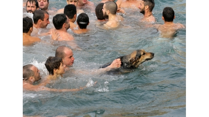 Σκύλος βούτηξε για το…σταυρό
