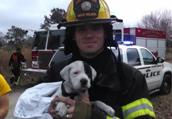 Το κουτάβι κι ο ήρωάς του