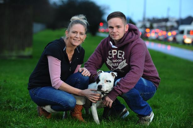 Βρήκαν τον σκύλο τους έπειτα από 10 χρόνια