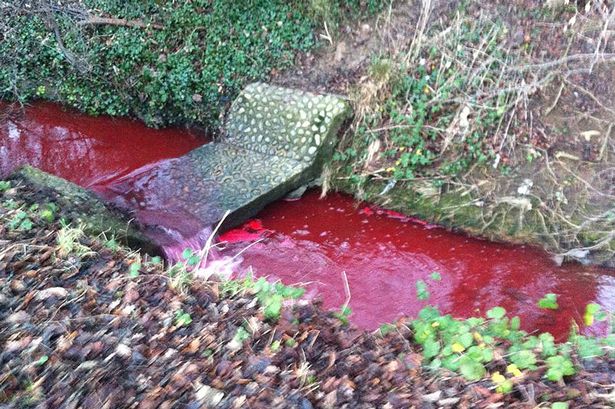 «Ήρθε η Αποκάλυψη»