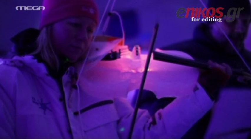 ΒΙΝΤΕΟ-Μουσικά όργανα από… πάγο