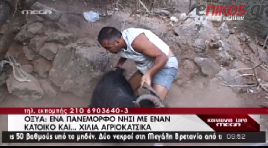 ΒΙΝΤΕΟ-Ο τελευταίος κάτοικος της Οξυάς