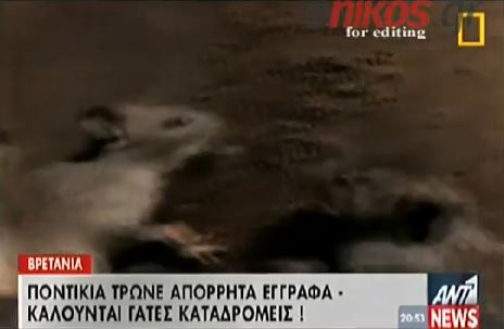 ΒΙΝΤΕΟ-Γέμισε ποντίκια η βρετανική Βουλή