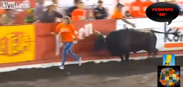 BINTEO-Ο ταύρος και η κυρία με τα πορτοκαλί