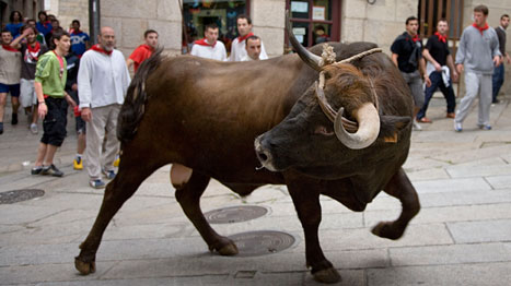 ΒΙΝΤΕΟ-Συγκρούστηκε με …ταύρο