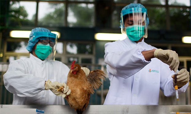 Κίνα: Νέο κρούσμα σε άνθρωπο της γρίπης των πτηνών