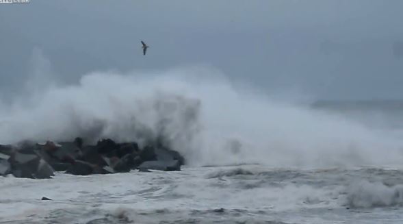ΒΙΝΤΕΟ-Η άγρια ομορφιά της φύσης