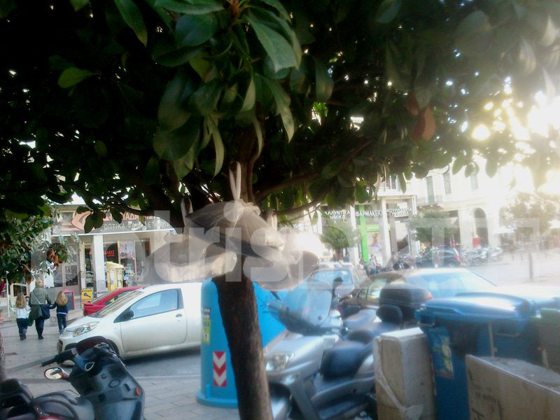 Φαγητό στο δέντρο για τους άπορους