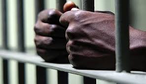 Ποινή φυλάκισης 290 ετών σε βιαστή