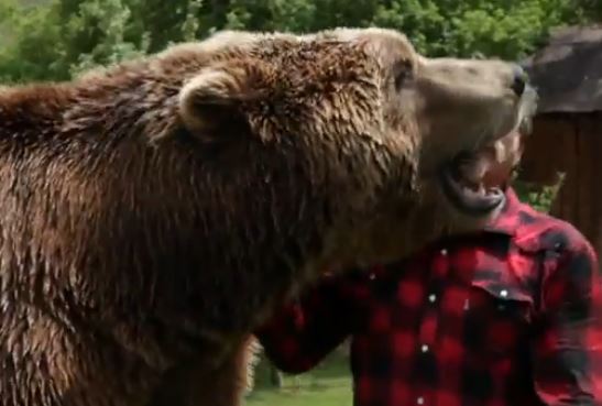 ΒΙΝΤΕΟ-Ο γητευτής των αρκούδων