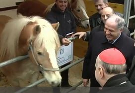 Άλογα, αγελάδες και κοτόπουλα στο Βατικανό