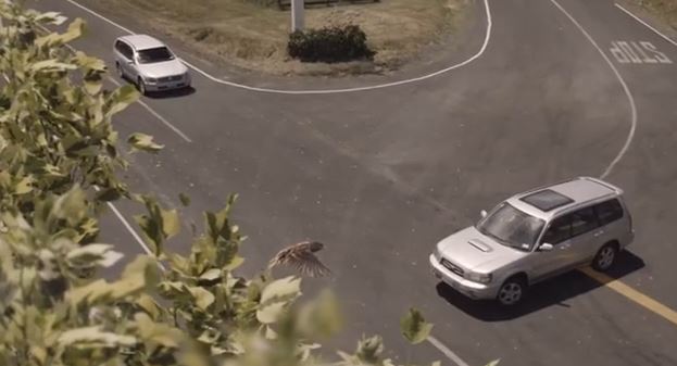 ΒΙΝΤΕΟ-Στην οδήγηση τα λάθη…κοστίζουν