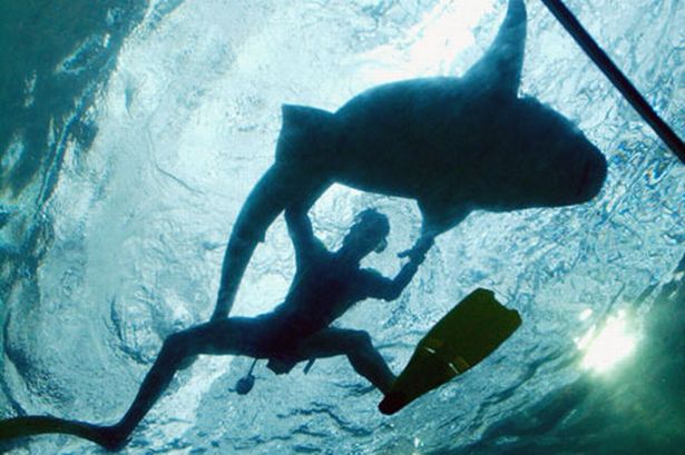 Αυτό θα πει ψυχραιμία!