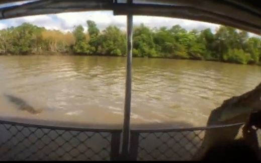 ΒΙΝΤΕΟ-Ο κροκόδειλος τρόμαξε τους τουρίστες