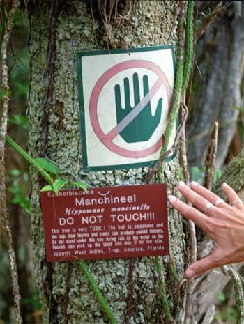ΦΩΤΟ-Το μικρό μήλο του θανάτου