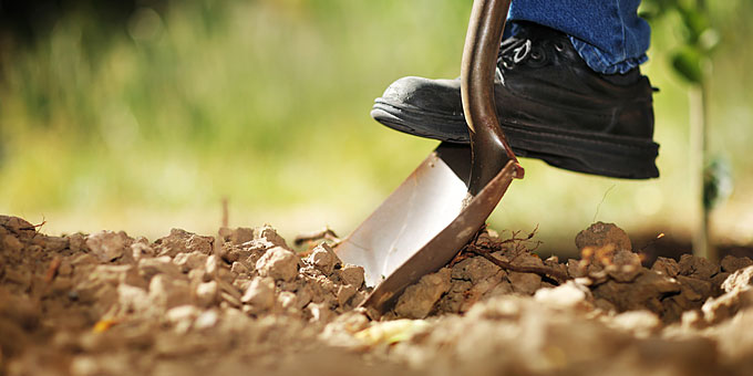 ΒΙΝΤΕΟ-Μαθήματα γεωργίας σε ανέργους