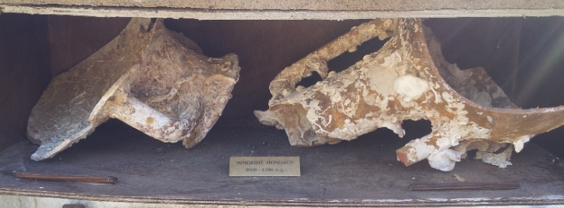 Έκρυβε αρχαία και ναρκωτικά στο σπίτι του