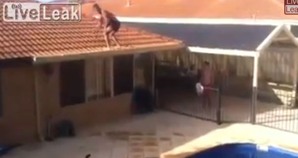 ΒΙΝΤΕΟ-Εκείνος τα κατάφερε. Εσείς μην το δοκιμάσετε