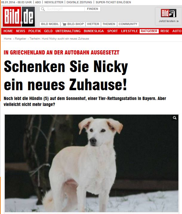 Η Bild “έσωσε” σκυλίτσα στον Κηφισό!