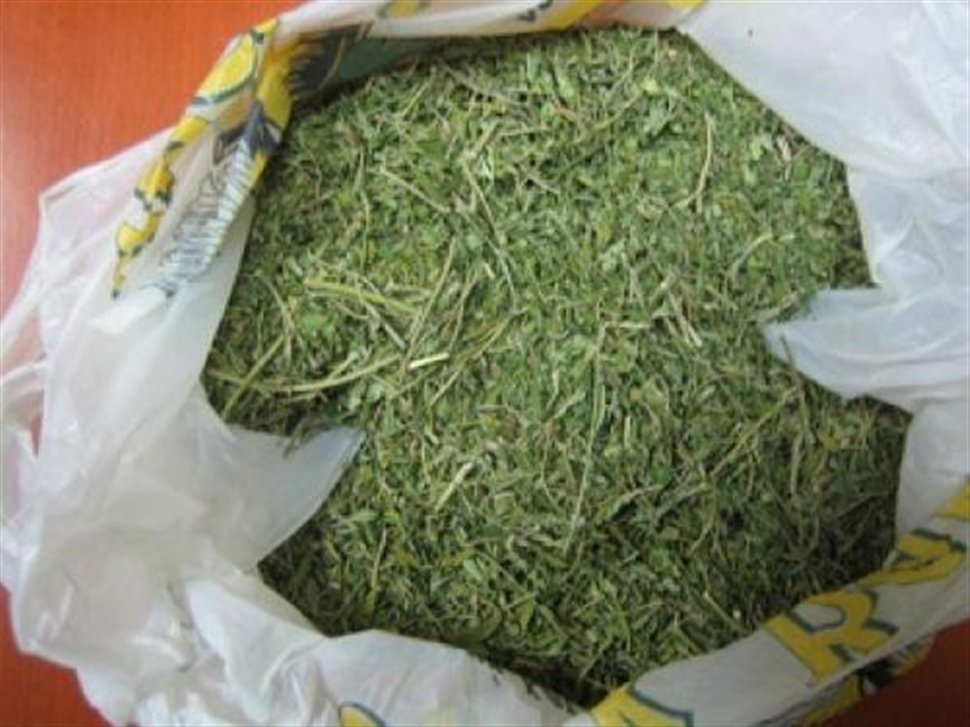 Πέταξαν το χασίς και συνελήφθησαν