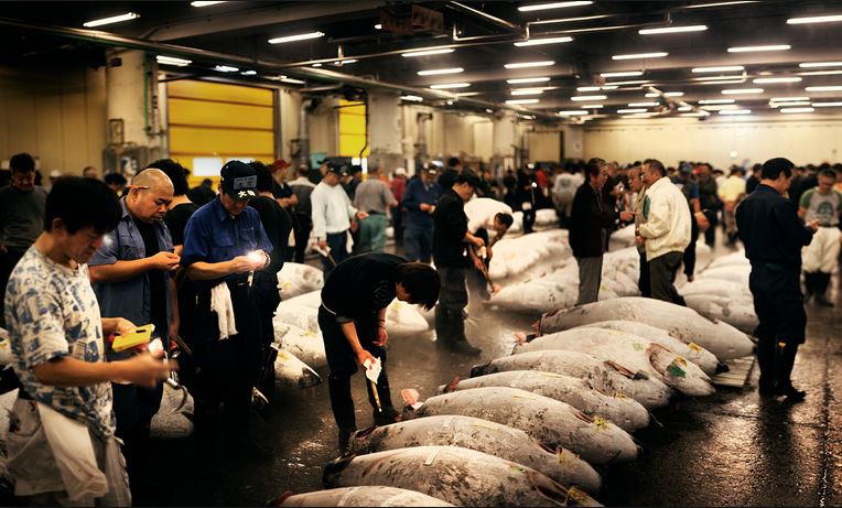 Έπεσε η τιμή του τόνου στο Τόκιο