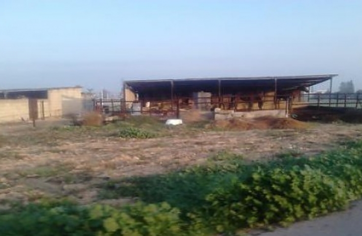 Ηλεία: Συνελήφθησαν οι δολοφόνοι ενός 77χρονου