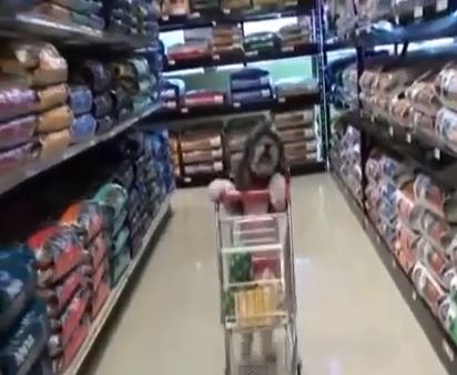 ΒΙΝΤΕΟ-Ο σκύλος με την πιστωτική κάρτα