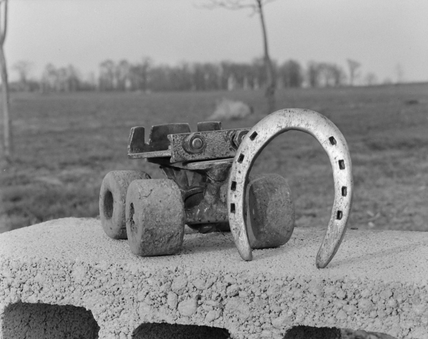 ΦΩΤΟ-Tο άλογο που κάνει roller-skate