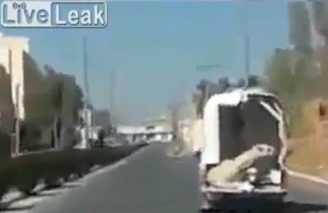 ΒΙΝΤΕΟ-Ξέχασε την καμήλα στη μέση του δρόμου